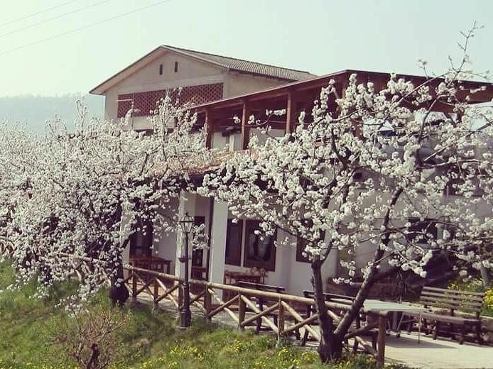 Agriturismo Al Ciliegio Villa Marostica Exteriör bild